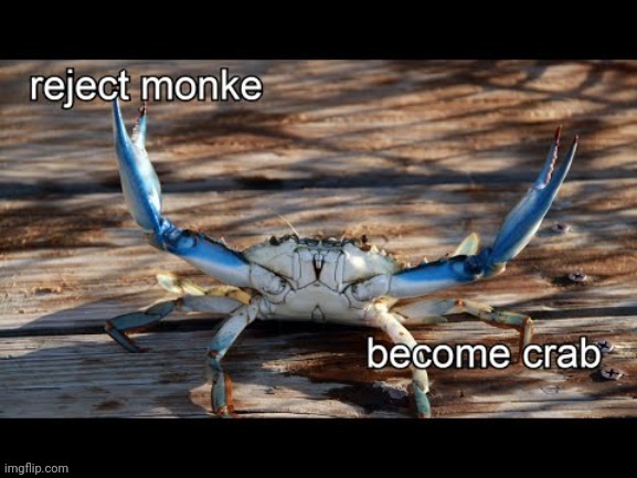 The guy above me is a crab | image tagged in reject monke become crab | made w/ Imgflip meme maker