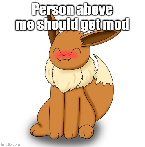 Blushing Eevee | Person above me should get mod | image tagged in blushing eevee | made w/ Imgflip meme maker