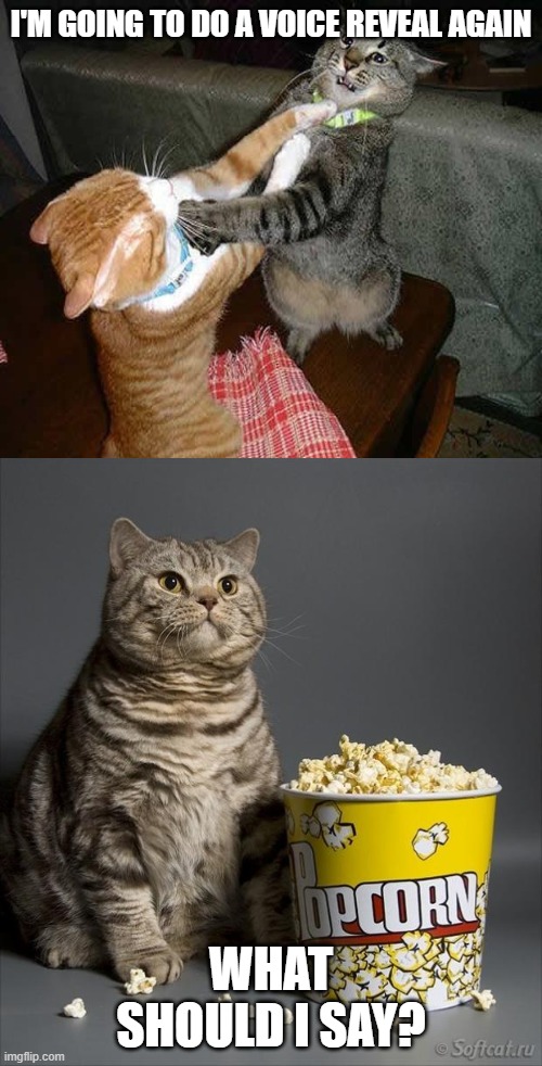 Cat watching other cats fight | I'M GOING TO DO A VOICE REVEAL AGAIN; WHAT SHOULD I SAY? | image tagged in cat watching other cats fight | made w/ Imgflip meme maker