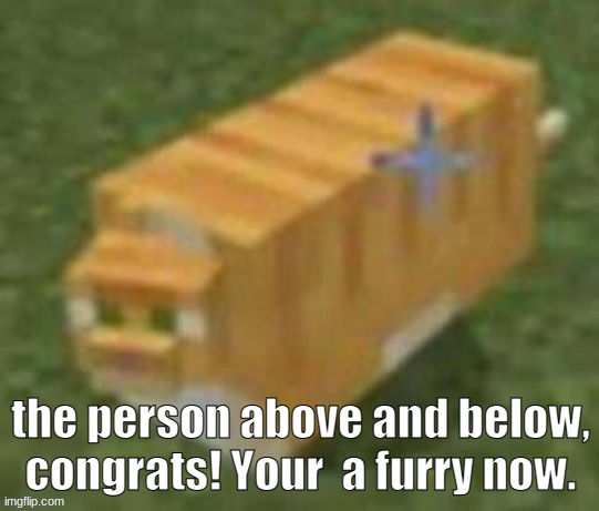 Oh lawd he comin minecraft | the person above and below, congrats! Your  a furry now. | image tagged in oh lawd he comin minecraft | made w/ Imgflip meme maker
