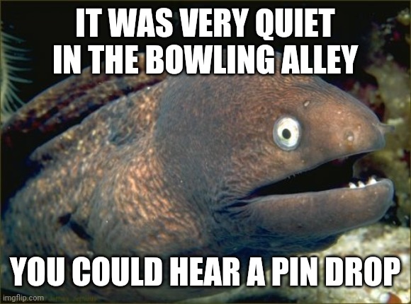 You all think I belong in the gutter dont ya? Did I strike out? You must think I'm a real turkey. | IT WAS VERY QUIET IN THE BOWLING ALLEY; YOU COULD HEAR A PIN DROP | image tagged in memes,bad joke eel,bowling,puns,jokes,sayings | made w/ Imgflip meme maker