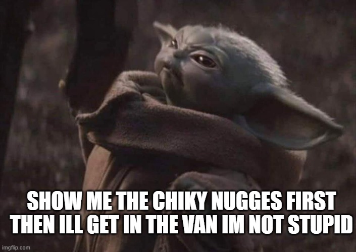 go ahead show me | SHOW ME THE CHIKY NUGGES FIRST THEN ILL GET IN THE VAN IM NOT STUPID | image tagged in baby yoda | made w/ Imgflip meme maker