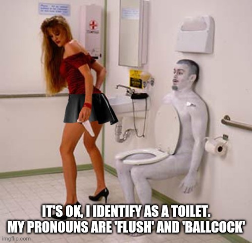 transgender restroom | IT'S OK, I IDENTIFY AS A TOILET. MY PRONOUNS ARE 'FLUSH' AND 'BALLCOCK' | image tagged in transgender restroom | made w/ Imgflip meme maker