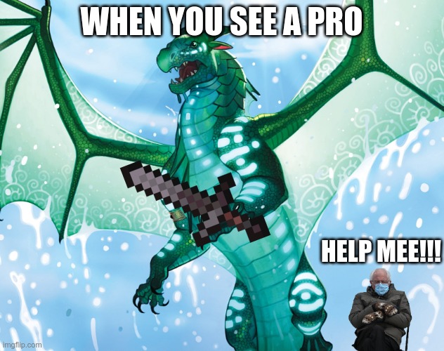 wof | WHEN YOU SEE A PRO; HELP MEE!!! | image tagged in dragon from wings of fire | made w/ Imgflip meme maker