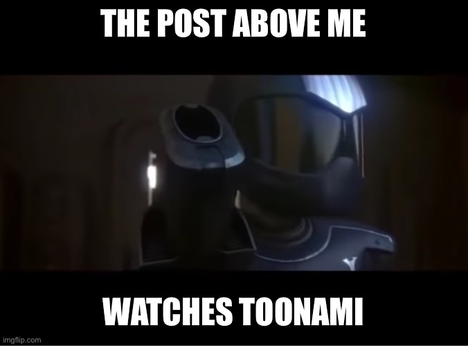 You came into the wrong house | THE POST ABOVE ME; WATCHES TOONAMI | image tagged in you came into the wrong house | made w/ Imgflip meme maker