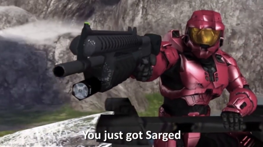 You Just Got Sarged! | image tagged in you just got sarged | made w/ Imgflip meme maker
