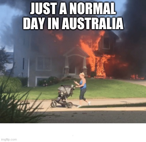 totally normal day... | JUST A NORMAL DAY IN AUSTRALIA | image tagged in lol,imagine tho,meanwhile in australia | made w/ Imgflip meme maker