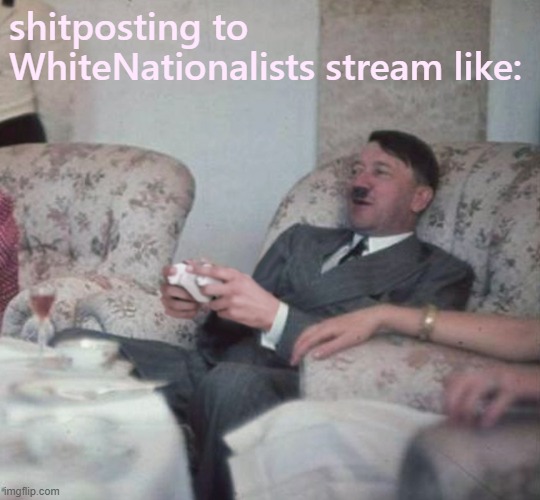 Hitler Videogaming | shitposting to WhiteNationalists stream like: | image tagged in hitler videogaming | made w/ Imgflip meme maker