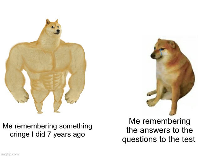 Buff Doge vs. Cheems | Me remembering something cringe I did 7 years ago; Me remembering the answers to the questions to the test | image tagged in memes,buff doge vs cheems | made w/ Imgflip meme maker
