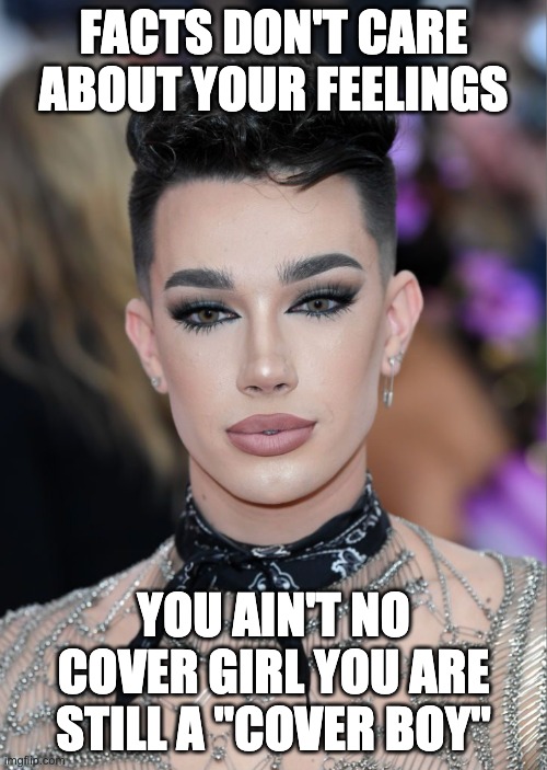 FACTS DON'T CARE ABOUT YOUR FEELINGS; YOU AIN'T NO COVER GIRL YOU ARE STILL A "COVER BOY" | image tagged in james charles,transgender,boys,girls,wierd,cringe worthy | made w/ Imgflip meme maker