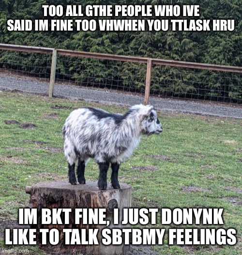 goat bc yes. and im going offline and shut everyone out of my life again. | TOO ALL GTHE PEOPLE WHO IVE SAID IM FINE TOO VHWHEN YOU TTLASK HRU; IM BKT FINE, I JUST DONYNK LIKE TO TALK SBTBMY FEELINGS | image tagged in goat bc why not | made w/ Imgflip meme maker