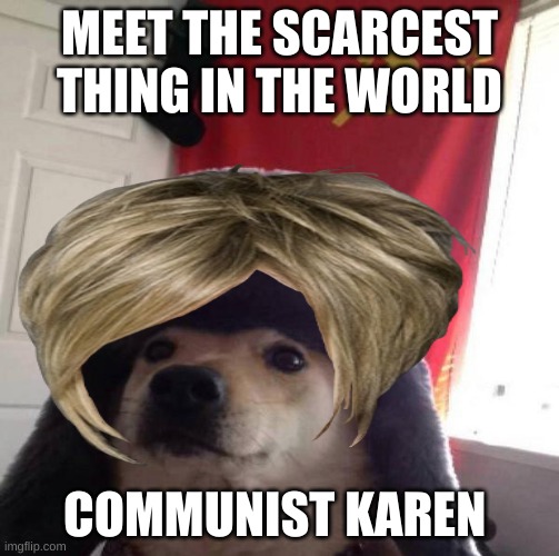 pls like | MEET THE SCARCEST THING IN THE WORLD; COMMUNIST KAREN | image tagged in funny memes | made w/ Imgflip meme maker