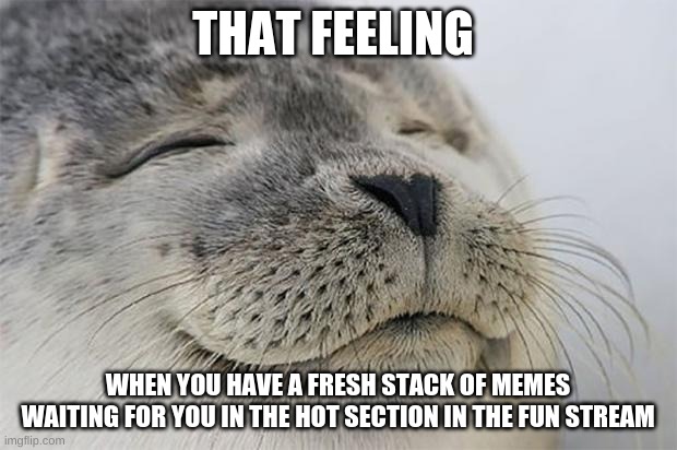 Mmmmm |  THAT FEELING; WHEN YOU HAVE A FRESH STACK OF MEMES WAITING FOR YOU IN THE HOT SECTION IN THE FUN STREAM | image tagged in memes,satisfied seal | made w/ Imgflip meme maker