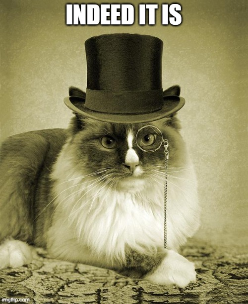 fancy cat  | INDEED IT IS | image tagged in fancy cat | made w/ Imgflip meme maker