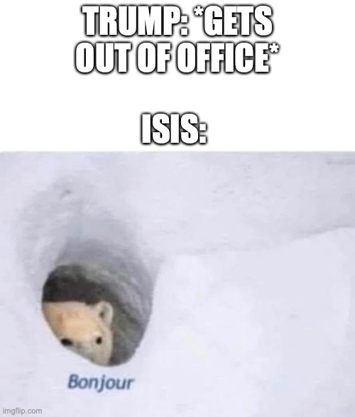 Bonjour | TRUMP: *GETS OUT OF OFFICE*; ISIS: | image tagged in bonjour | made w/ Imgflip meme maker