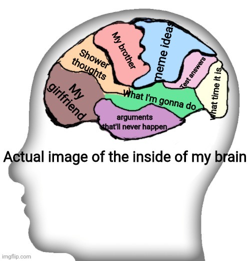 Actual image of the inside of my brain | meme ideas; My brother; Shower thoughts; Test answers; My girlfriend; what time it is; What I'm gonna do; arguments that'll never happen | image tagged in actual image of the inside of my brain | made w/ Imgflip meme maker