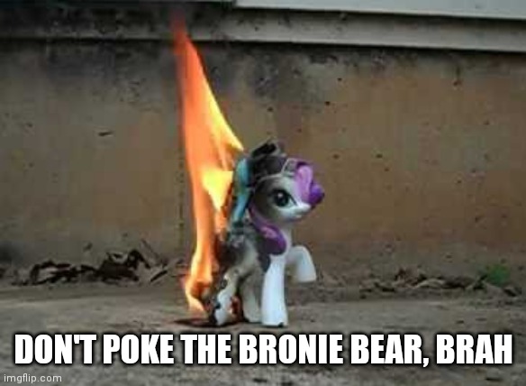 DON'T POKE THE BRONIE BEAR, BRAH | made w/ Imgflip meme maker