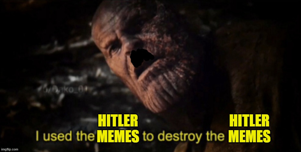 i reckon they did nazi this coming | HITLER MEMES; HITLER MEMES | image tagged in hitler i used the stones to destroy the stones | made w/ Imgflip meme maker