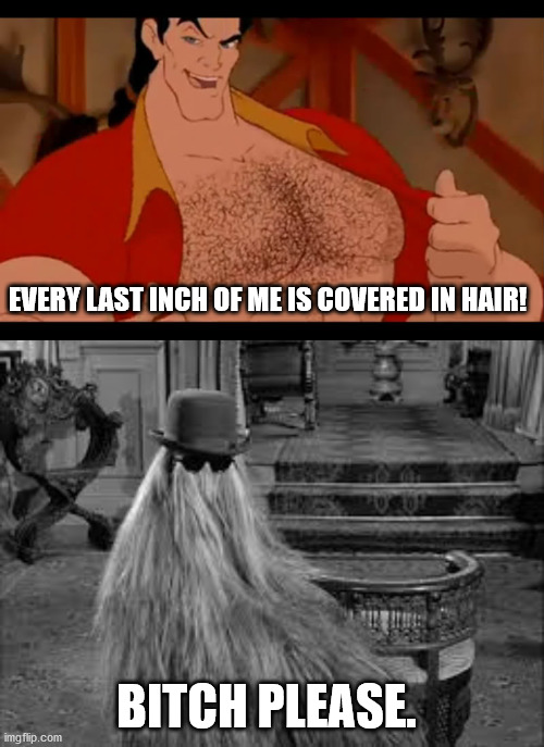 EVERY LAST INCH OF ME IS COVERED IN HAIR! BITCH PLEASE. | image tagged in gaston | made w/ Imgflip meme maker