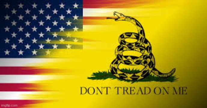 rate my wallpaper | image tagged in america,dont tread on me | made w/ Imgflip meme maker