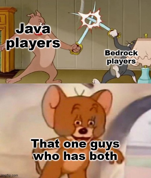 Java vs bedrock | Java players; Bedrock players; That one guys who has both | image tagged in tom and jerry swordfight | made w/ Imgflip meme maker