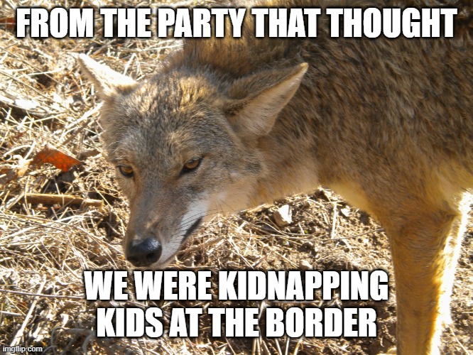 Coyote | FROM THE PARTY THAT THOUGHT WE WERE KIDNAPPING KIDS AT THE BORDER | image tagged in coyote | made w/ Imgflip meme maker
