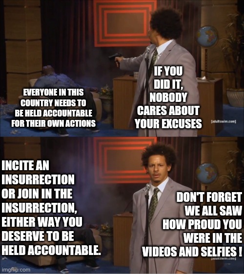 A Terrorist Is A Terrorist After all | IF YOU DID IT, NOBODY CARES ABOUT YOUR EXCUSES; EVERYONE IN THIS COUNTRY NEEDS TO BE HELD ACCOUNTABLE FOR THEIR OWN ACTIONS; INCITE AN INSURRECTION OR JOIN IN THE INSURRECTION, EITHER WAY YOU DESERVE TO BE HELD ACCOUNTABLE. DON'T FORGET WE ALL SAW HOW PROUD YOU WERE IN THE VIDEOS AND SELFIES ! | image tagged in memes,who killed hannibal,insurrection,domestic terrorists,terrorists,guilty | made w/ Imgflip meme maker