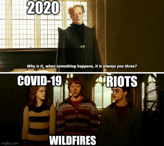2020 | 2020; COVID-19; RIOTS; WILDFIRES | image tagged in always you three | made w/ Imgflip meme maker