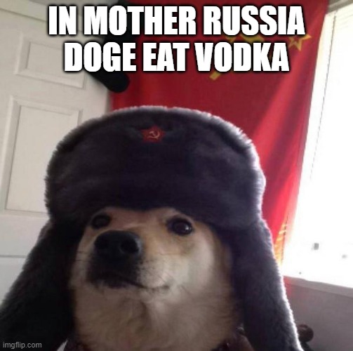 Communist doge diet | IN MOTHER RUSSIA
DOGE EAT VODKA | image tagged in russian doge,vodka,communism | made w/ Imgflip meme maker