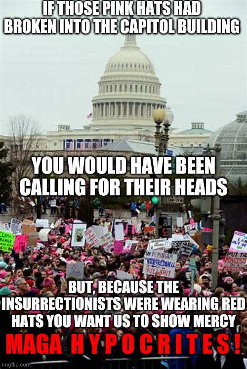 Insurrectionists Are The Best Hypocrites | IF THOSE PINK HATS HAD BROKEN INTO THE CAPITOL BUILDING; YOU WOULD HAVE BEEN CALLING FOR THEIR HEADS; BUT, BECAUSE THE INSURRECTIONISTS WERE WEARING RED HATS YOU WANT US TO SHOW MERCY; MAGA  H Y P O C R I T E S ! | image tagged in memes,hypocrites,hypocrisy,gop hypocrite,lock them up,lock him up | made w/ Imgflip meme maker