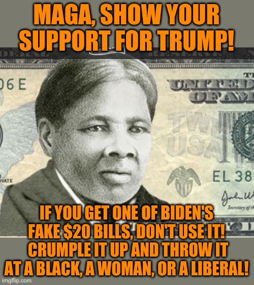 Harriet Tubman $20 | MAGA, SHOW YOUR SUPPORT FOR TRUMP! IF YOU GET ONE OF BIDEN'S FAKE $20 BILLS, DON'T USE IT!  CRUMPLE IT UP AND THROW IT AT A BLACK, A WOMAN, OR A LIBERAL! | image tagged in harriet tubman 20 | made w/ Imgflip meme maker