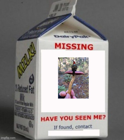 Where's Bernie | image tagged in milk carton | made w/ Imgflip meme maker
