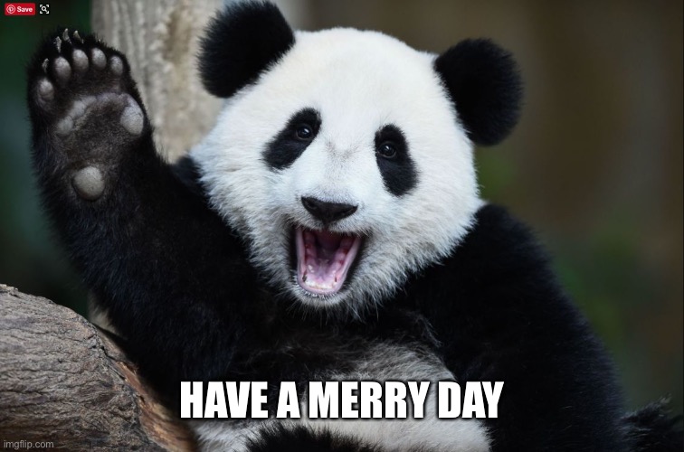 Have a nice day | HAVE A MERRY DAY | image tagged in have a nice day | made w/ Imgflip meme maker