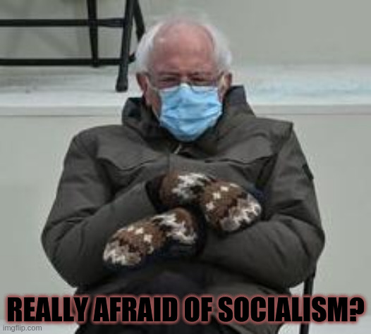 Fearmongering socialism | REALLY AFRAID OF SOCIALISM? | image tagged in bernie sanders | made w/ Imgflip meme maker