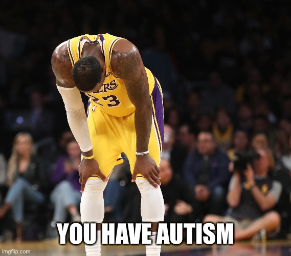 Daily Lebron Meme #5 | YOU HAVE AUTISM | image tagged in lebron,lebron james,irony,lakers | made w/ Imgflip meme maker