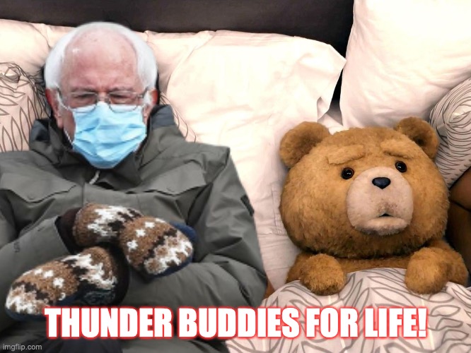 Thunder buddies | THUNDER BUDDIES FOR LIFE! | image tagged in bernie sanders,bernie mittens,bernie sanders mittens,bernie meme | made w/ Imgflip meme maker