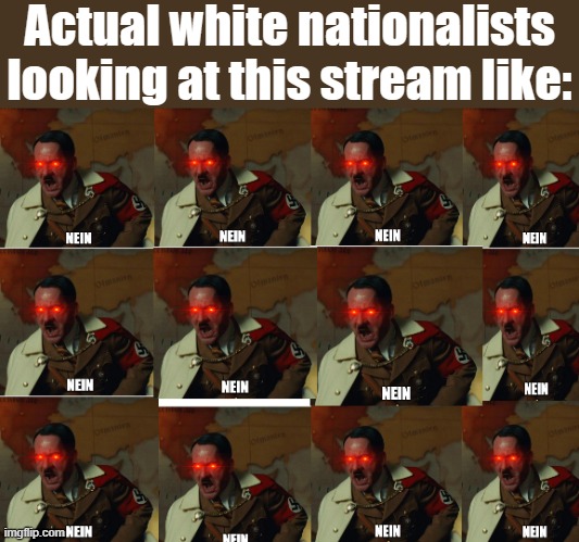 wtf man, where are the MoonMan memes, where's the Holocaust denial, where's the racism & rage WHERE IS IT | Actual white nationalists looking at this stream like: | image tagged in many hitler | made w/ Imgflip meme maker