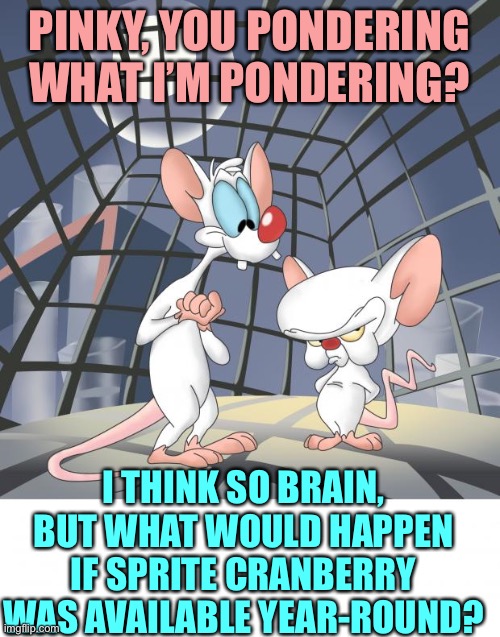 Am I the only one who wishes it was available year-round? | PINKY, YOU PONDERING WHAT I’M PONDERING? I THINK SO BRAIN, BUT WHAT WOULD HAPPEN IF SPRITE CRANBERRY WAS AVAILABLE YEAR-ROUND? | image tagged in pinky and the brain,sprite cranberry,animaniacs,drinks | made w/ Imgflip meme maker