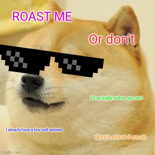 Doge Meme | ROAST ME; Or don't; I'd actually rather you not; I already have a low self esteem; But it's still ok if you do | image tagged in memes,doge | made w/ Imgflip meme maker