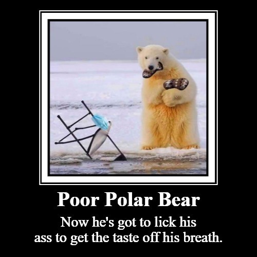 Poor Polar Bear | image tagged in bernie i am once again asking for your support,bernie mittens,crush the commies,bernie sanders mittens,feel the bern | made w/ Imgflip meme maker