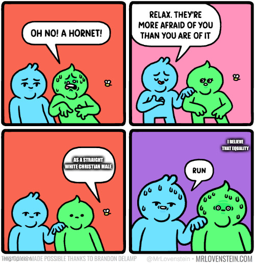Hornet Mr Lovenstein | I BELIEVE THAT EQUALITY; AS A STRAIGHT WHITE CHRISTIAN MALE | image tagged in hornet mr lovenstein | made w/ Imgflip meme maker