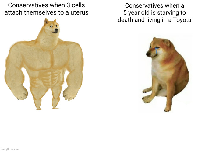 Buff Doge vs. Cheems | Conservatives when 3 cells attach themselves to a uterus; Conservatives when a 5 year old is starving to death and living in a Toyota | image tagged in memes,buff doge vs cheems | made w/ Imgflip meme maker