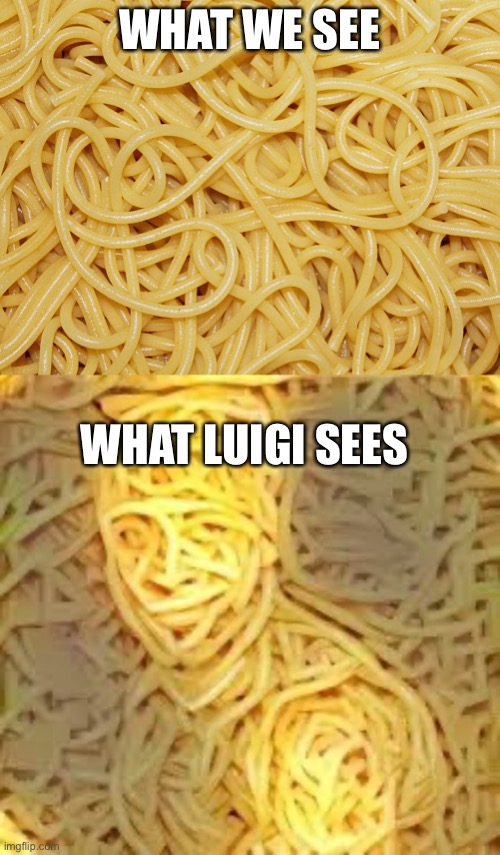 Spaghetti | WHAT WE SEE; WHAT LUIGI SEES | image tagged in mario wtf,luigi,spaghetti | made w/ Imgflip meme maker