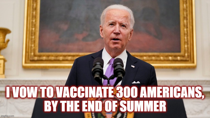 Biden's slip ups are a meme makers paradise! | I VOW TO VACCINATE 300 AMERICANS,
BY THE END OF SUMMER | image tagged in vaccination,american,summer,biden,stupid stuff | made w/ Imgflip meme maker