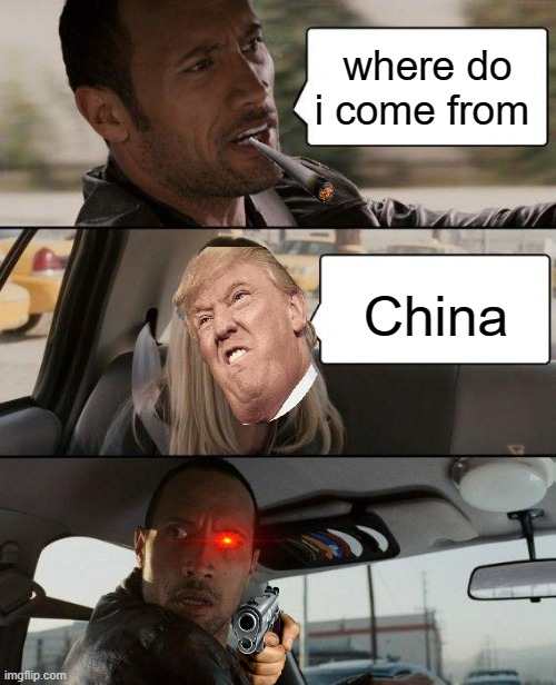 we all hate trump | where do i come from; China | image tagged in memes,the rock driving | made w/ Imgflip meme maker