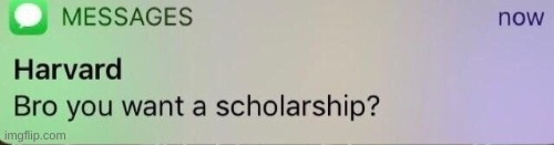 Bro you want a scholarship? Blank Meme Template