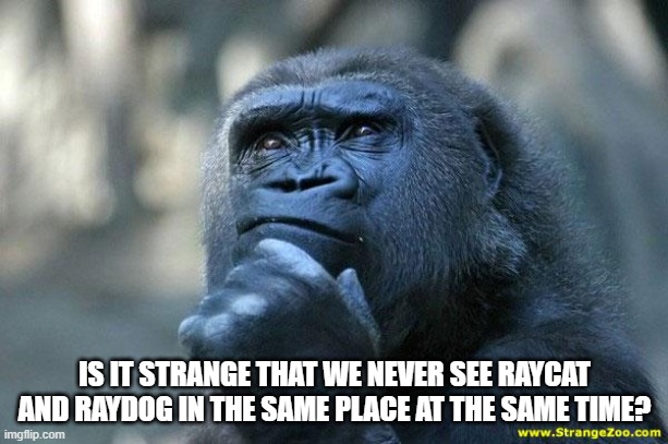 Deep Thoughts | IS IT STRANGE THAT WE NEVER SEE RAYCAT AND RAYDOG IN THE SAME PLACE AT THE SAME TIME? | image tagged in deep thoughts | made w/ Imgflip meme maker