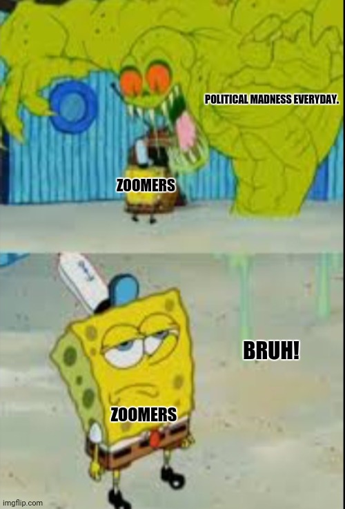 ok boomer | POLITICAL MADNESS EVERYDAY. ZOOMERS; BRUH! ZOOMERS | image tagged in memes,political correctness,zoom | made w/ Imgflip meme maker