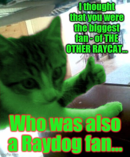 thumbs up RayCat | I thought that you were the biggest fan - of THE OTHER RAYCAT... Who was also a Raydog fan... | image tagged in thumbs up raycat | made w/ Imgflip meme maker