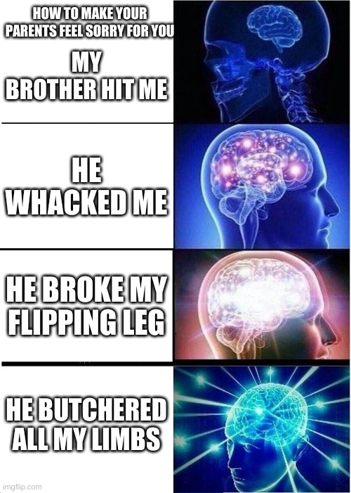 Say dis to yo parents | HOW TO MAKE YOUR PARENTS FEEL SORRY FOR YOU; MY BROTHER HIT ME; HE WHACKED ME; HE BROKE MY FLIPPING LEG; HE BUTCHERED ALL MY LIMBS | image tagged in memes,expanding brain | made w/ Imgflip meme maker